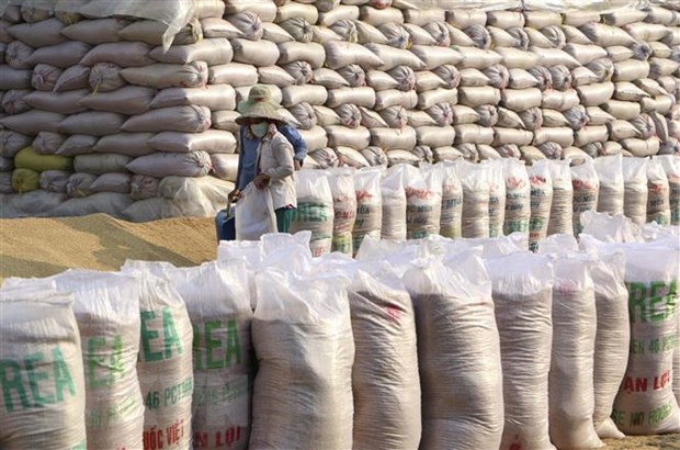 Promouvoir les exportations vietnamiennes vers l Afrique du Sud